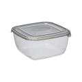 Pojemnik na żywność 2,5 L Polar Szary PLAST TEAM