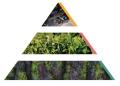 Podgrzewacze zapachowe 6 szt. Morskie opowieści P15-318 Bispol