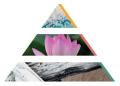 Podgrzewacze zapachowe 6 szt. Grota solna P15-313 Bispol