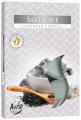 Podgrzewacze zapachowe 6 szt. Grota solna P15-313 Bispol