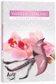 Podgrzewacze zapachowe 6 szt. Wanilia-Orchidea P15-184 Bispol