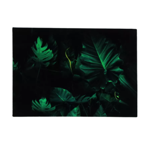 Deska szklana Monstera 35 cm