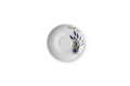 10 2.png