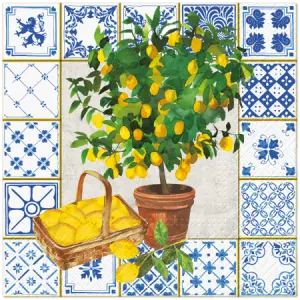 KOMPLET 20 SERWETEK SERWETKI KWADRAT 3-WARSTWOWE 33 cm x 33 cm CYTRUSY