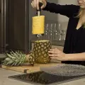 86a4231c855d1446668d9134e110e598